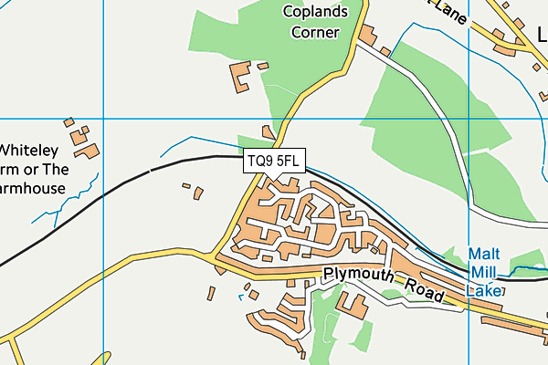 TQ9 5FL map - OS VectorMap District (Ordnance Survey)