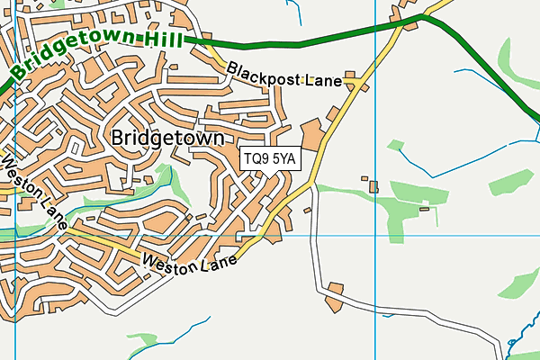 TQ9 5YA map - OS VectorMap District (Ordnance Survey)