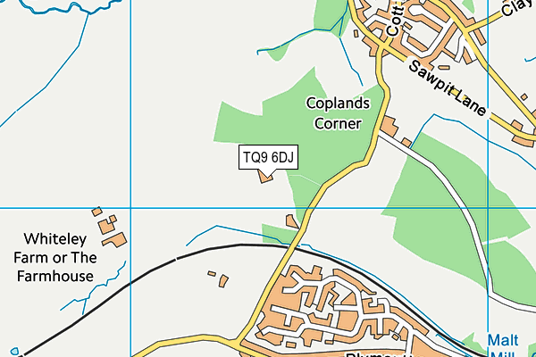 TQ9 6DJ map - OS VectorMap District (Ordnance Survey)