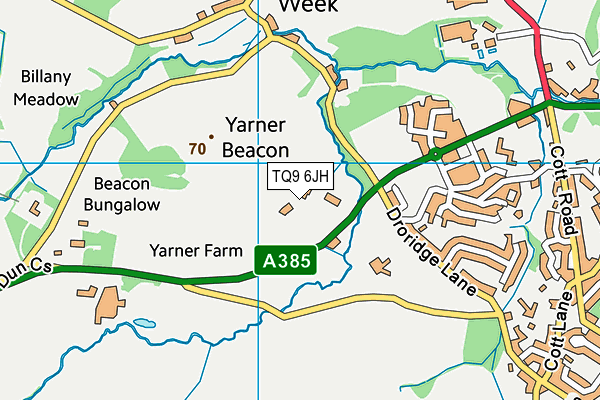 TQ9 6JH map - OS VectorMap District (Ordnance Survey)