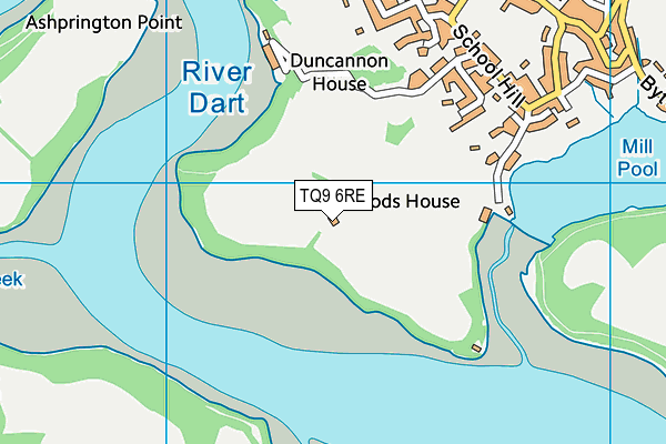 TQ9 6RE map - OS VectorMap District (Ordnance Survey)