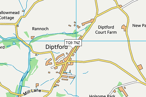 Diptford Playing Field map (TQ9 7NZ) - OS VectorMap District (Ordnance Survey)