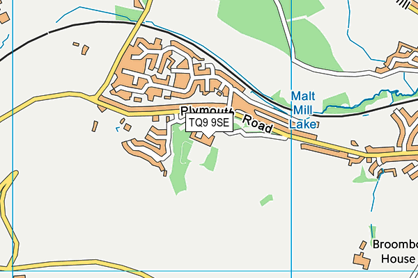 TQ9 9SE map - OS VectorMap District (Ordnance Survey)