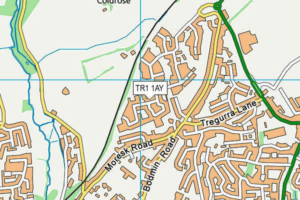 TR1 1AY map - OS VectorMap District (Ordnance Survey)