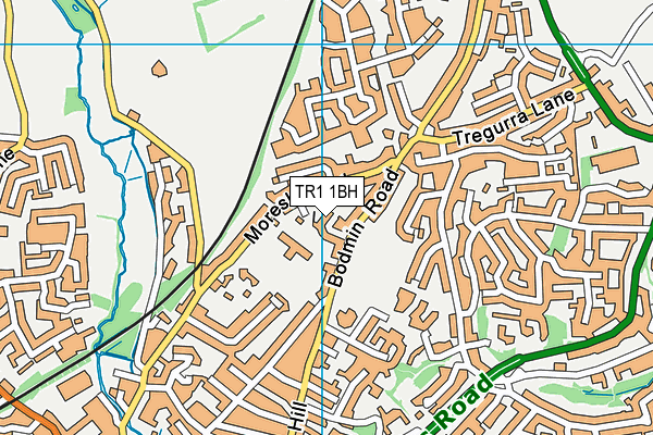 TR1 1BH map - OS VectorMap District (Ordnance Survey)