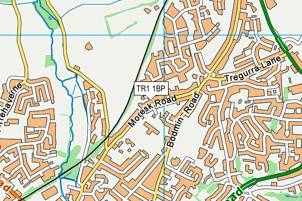 TR1 1BP map - OS VectorMap District (Ordnance Survey)