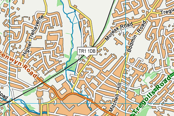 TR1 1DB map - OS VectorMap District (Ordnance Survey)