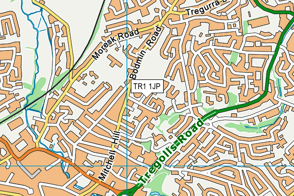 TR1 1JP map - OS VectorMap District (Ordnance Survey)