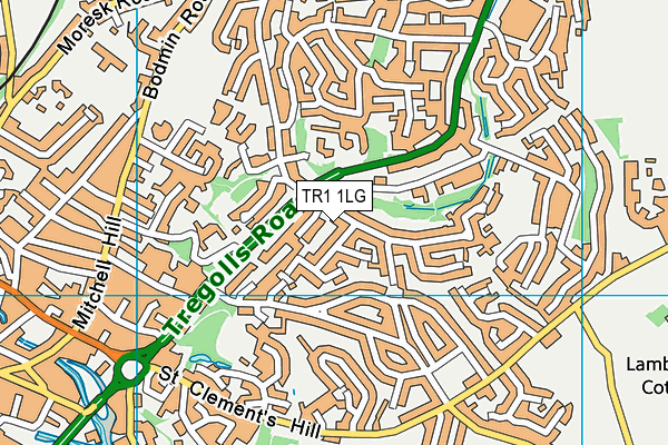 TR1 1LG map - OS VectorMap District (Ordnance Survey)