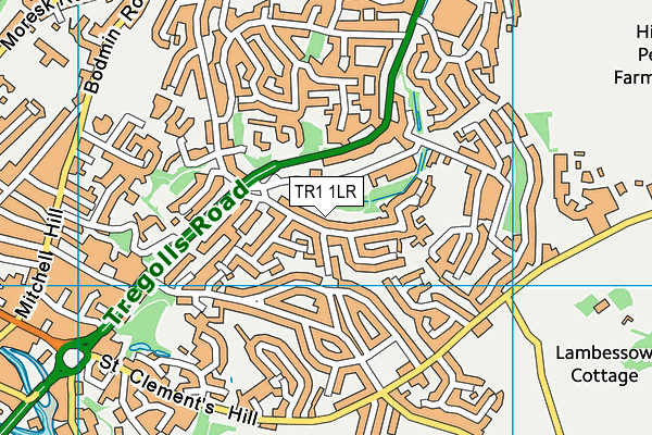 TR1 1LR map - OS VectorMap District (Ordnance Survey)