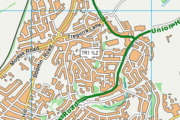 TR1 1LZ map - OS VectorMap District (Ordnance Survey)