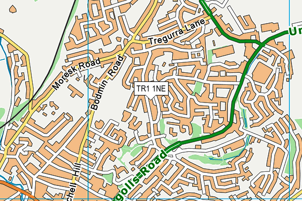 TR1 1NE map - OS VectorMap District (Ordnance Survey)