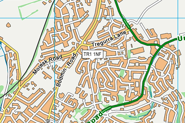 TR1 1NF map - OS VectorMap District (Ordnance Survey)