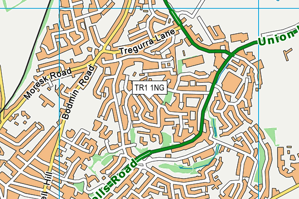 TR1 1NG map - OS VectorMap District (Ordnance Survey)
