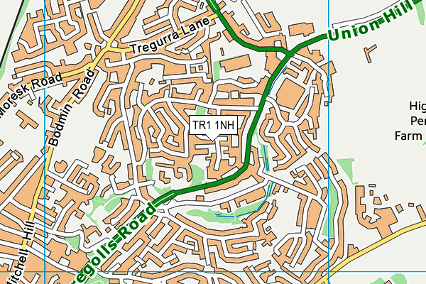 TR1 1NH map - OS VectorMap District (Ordnance Survey)