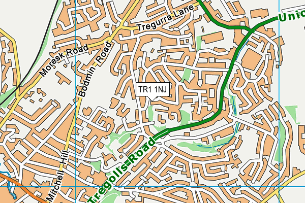 TR1 1NJ map - OS VectorMap District (Ordnance Survey)
