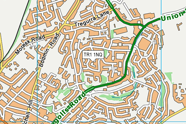 TR1 1NQ map - OS VectorMap District (Ordnance Survey)