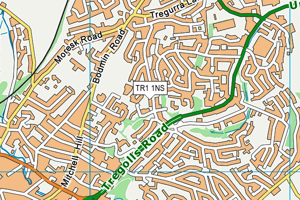 TR1 1NS map - OS VectorMap District (Ordnance Survey)