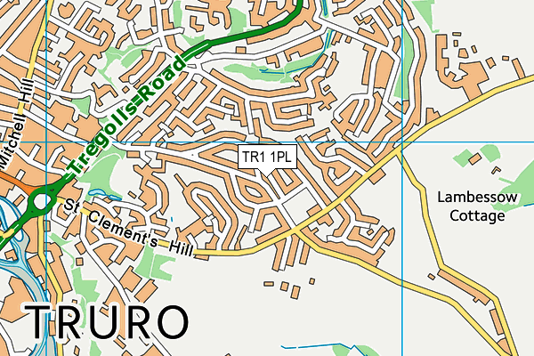 TR1 1PL map - OS VectorMap District (Ordnance Survey)
