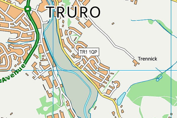 TR1 1QP map - OS VectorMap District (Ordnance Survey)