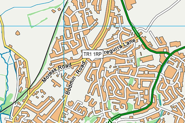 TR1 1RP map - OS VectorMap District (Ordnance Survey)