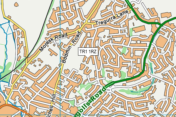 TR1 1RZ map - OS VectorMap District (Ordnance Survey)