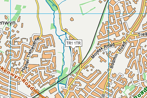 TR1 1TR map - OS VectorMap District (Ordnance Survey)
