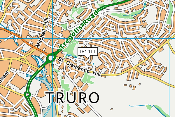 TR1 1TT map - OS VectorMap District (Ordnance Survey)
