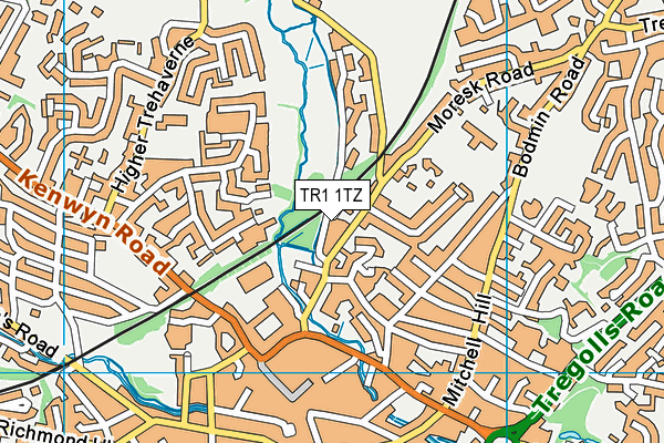 TR1 1TZ map - OS VectorMap District (Ordnance Survey)