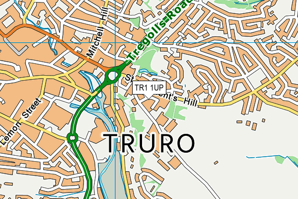 TR1 1UP map - OS VectorMap District (Ordnance Survey)