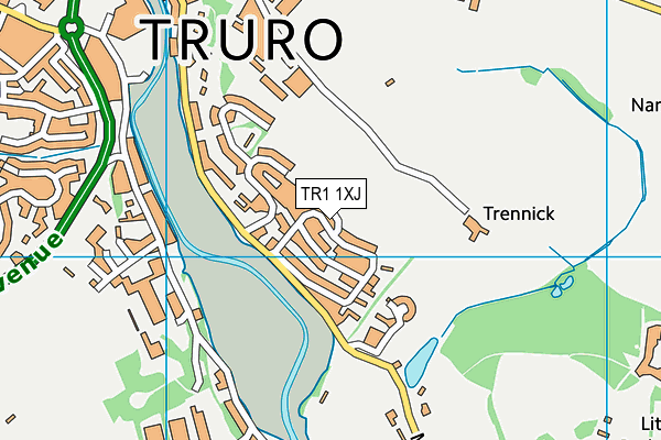 TR1 1XJ map - OS VectorMap District (Ordnance Survey)