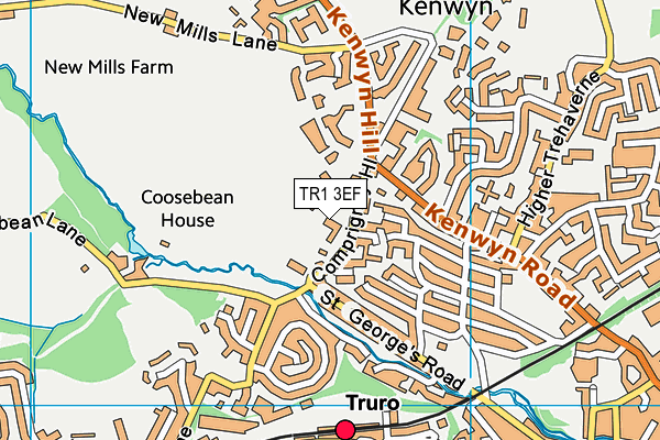 TR1 3EF map - OS VectorMap District (Ordnance Survey)