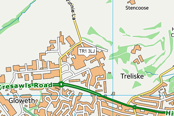 TR1 3LJ map - OS VectorMap District (Ordnance Survey)