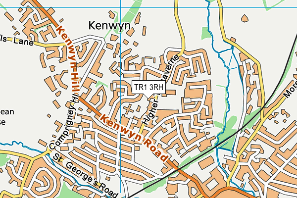 TR1 3RH map - OS VectorMap District (Ordnance Survey)