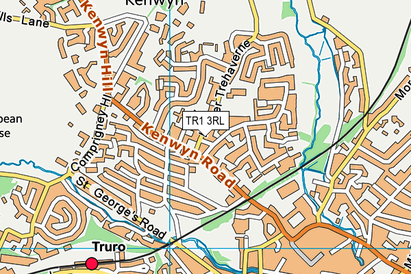 TR1 3RL map - OS VectorMap District (Ordnance Survey)