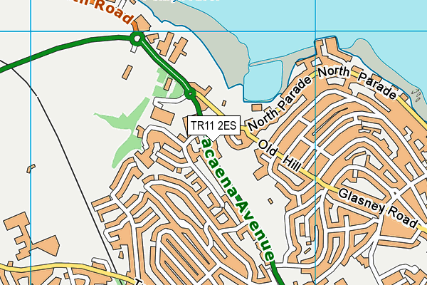 The Dracaena Centre map (TR11 2ES) - OS VectorMap District (Ordnance Survey)