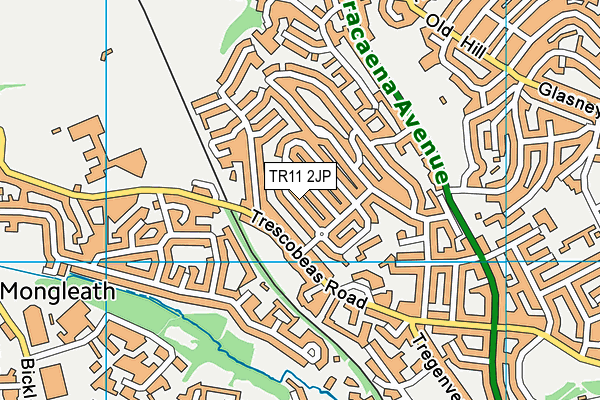 TR11 2JP map - OS VectorMap District (Ordnance Survey)
