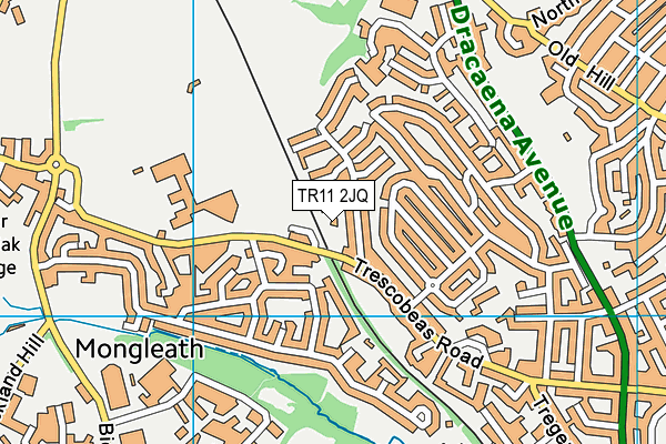 TR11 2JQ map - OS VectorMap District (Ordnance Survey)