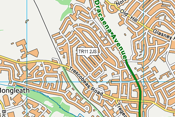 TR11 2JS map - OS VectorMap District (Ordnance Survey)