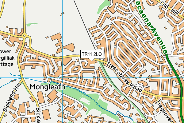 TR11 2LQ map - OS VectorMap District (Ordnance Survey)