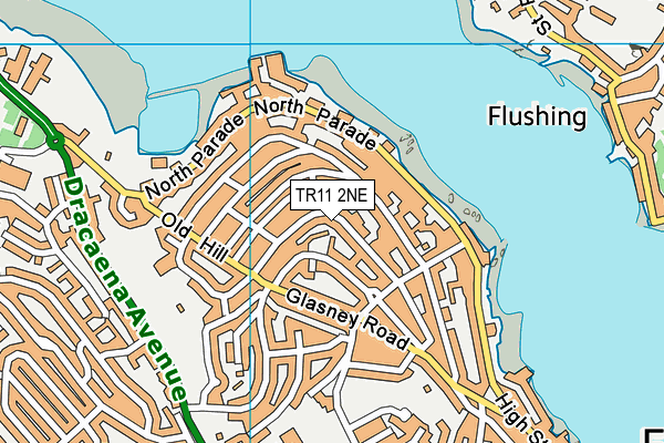 TR11 2NE map - OS VectorMap District (Ordnance Survey)