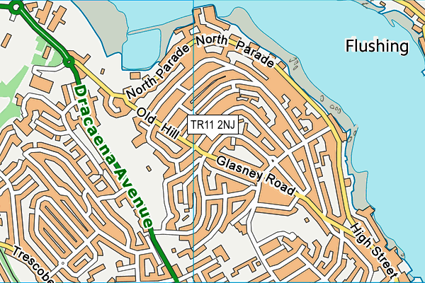 TR11 2NJ map - OS VectorMap District (Ordnance Survey)