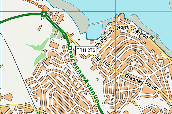 TR11 2TS map - OS VectorMap District (Ordnance Survey)