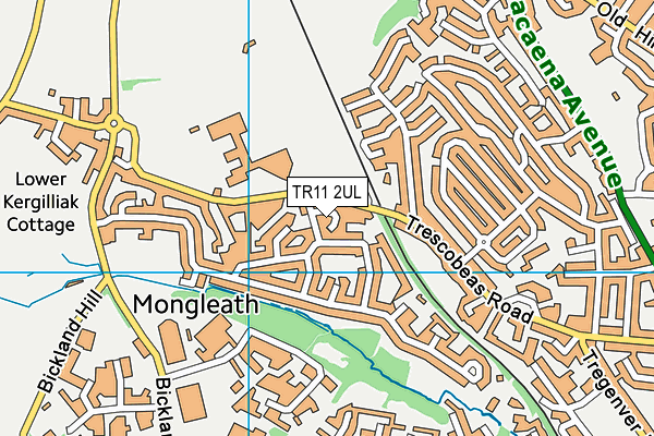 TR11 2UL map - OS VectorMap District (Ordnance Survey)