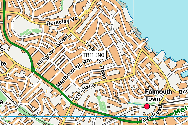 TR11 3NQ map - OS VectorMap District (Ordnance Survey)