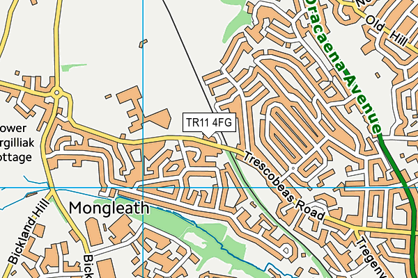 TR11 4FG map - OS VectorMap District (Ordnance Survey)