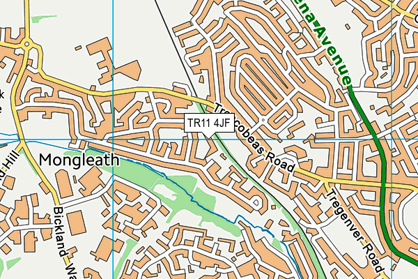 TR11 4JF map - OS VectorMap District (Ordnance Survey)