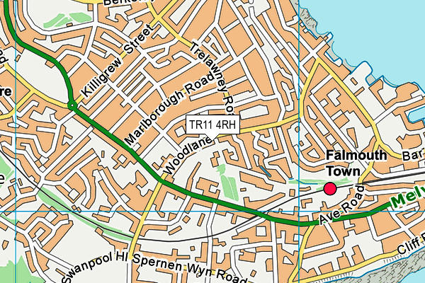 Falmouth University map (TR11 4RH) - OS VectorMap District (Ordnance Survey)