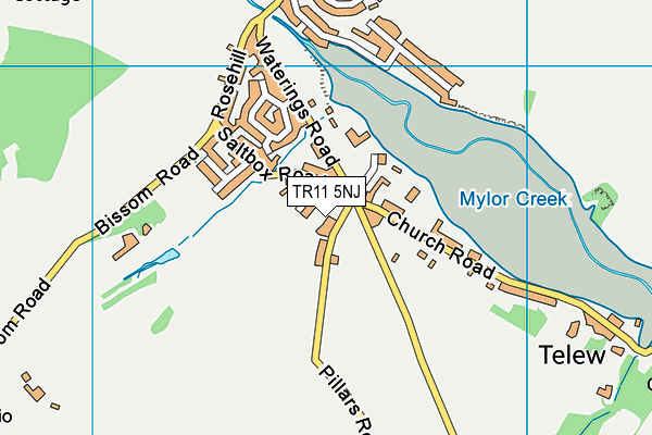 TR11 5NJ map - OS VectorMap District (Ordnance Survey)