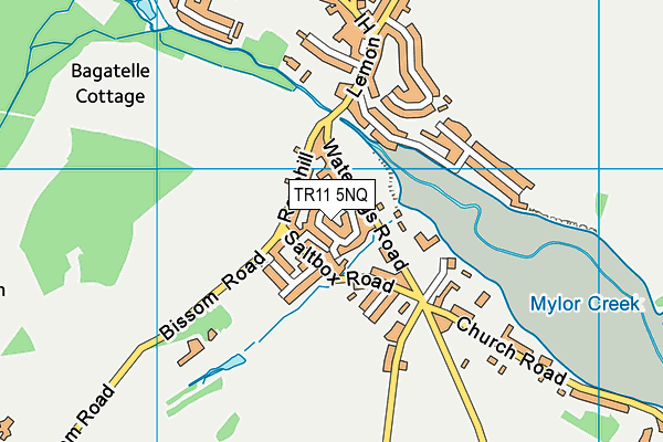 TR11 5NQ map - OS VectorMap District (Ordnance Survey)